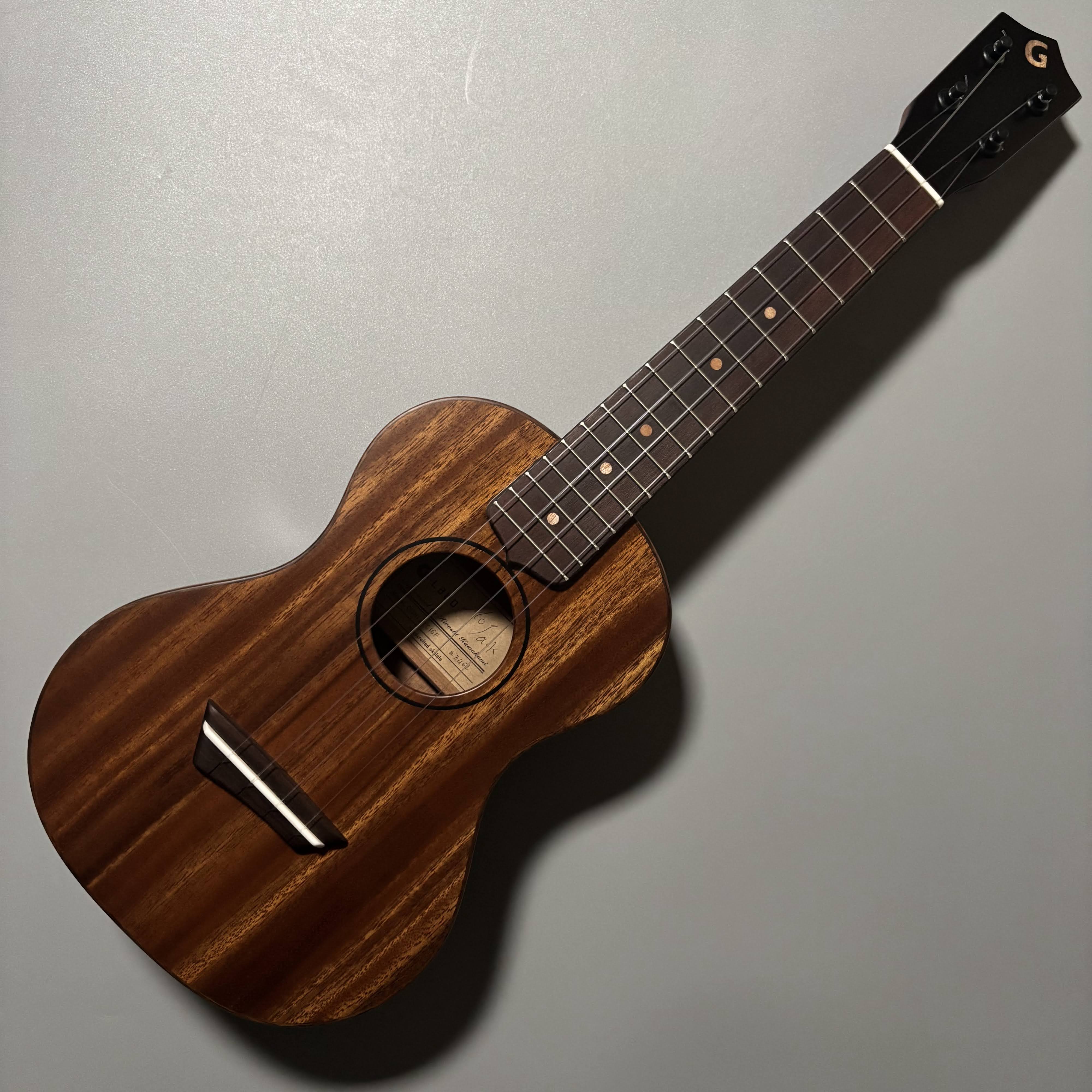 G-LaboDISH-1TC16F