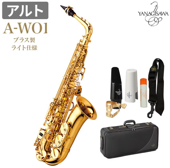 YANAGISAWAA-WO1