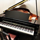 【音楽教室】大人から始めるピアノコースのご案内🎹
