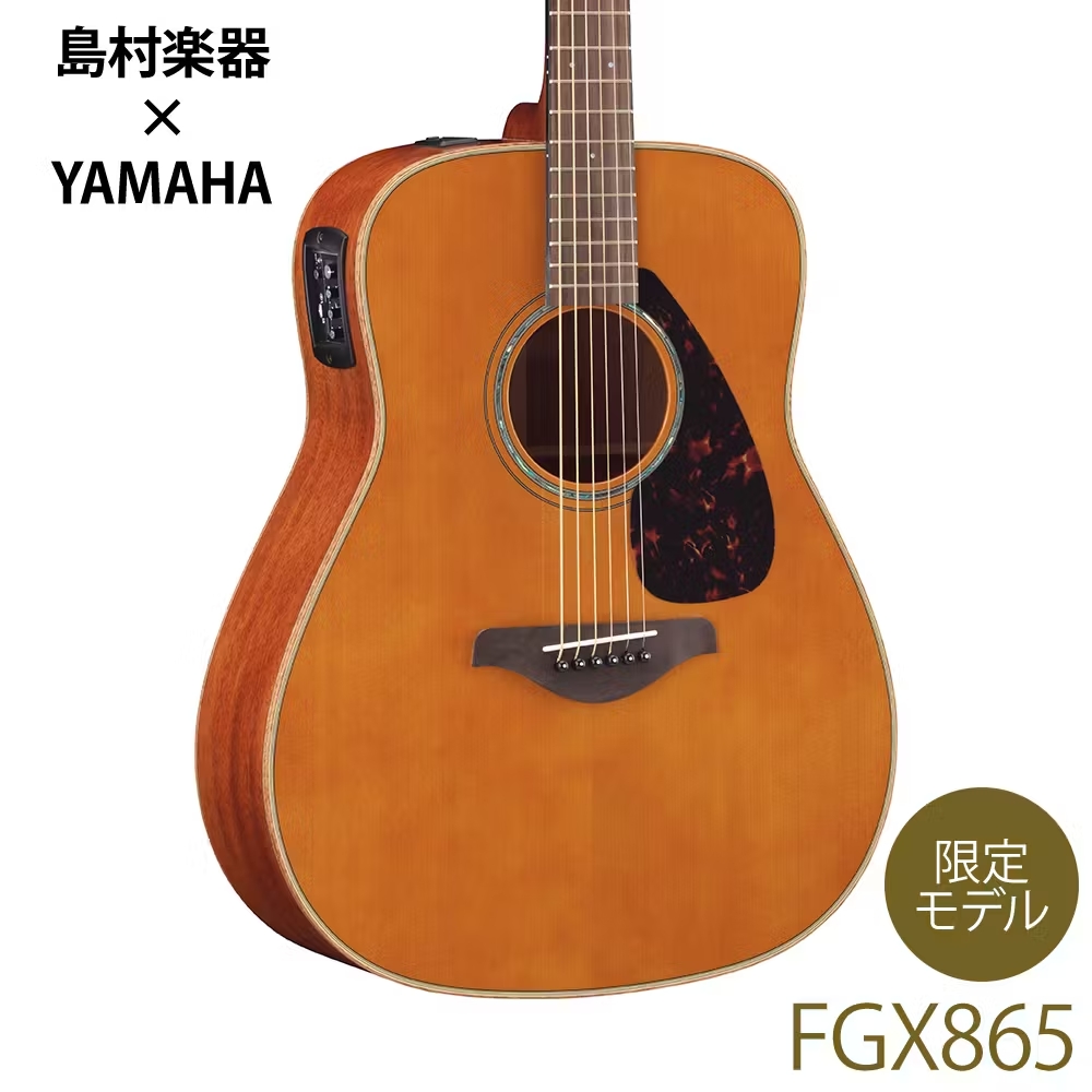 エレアコギターYAMAHA　FGX865