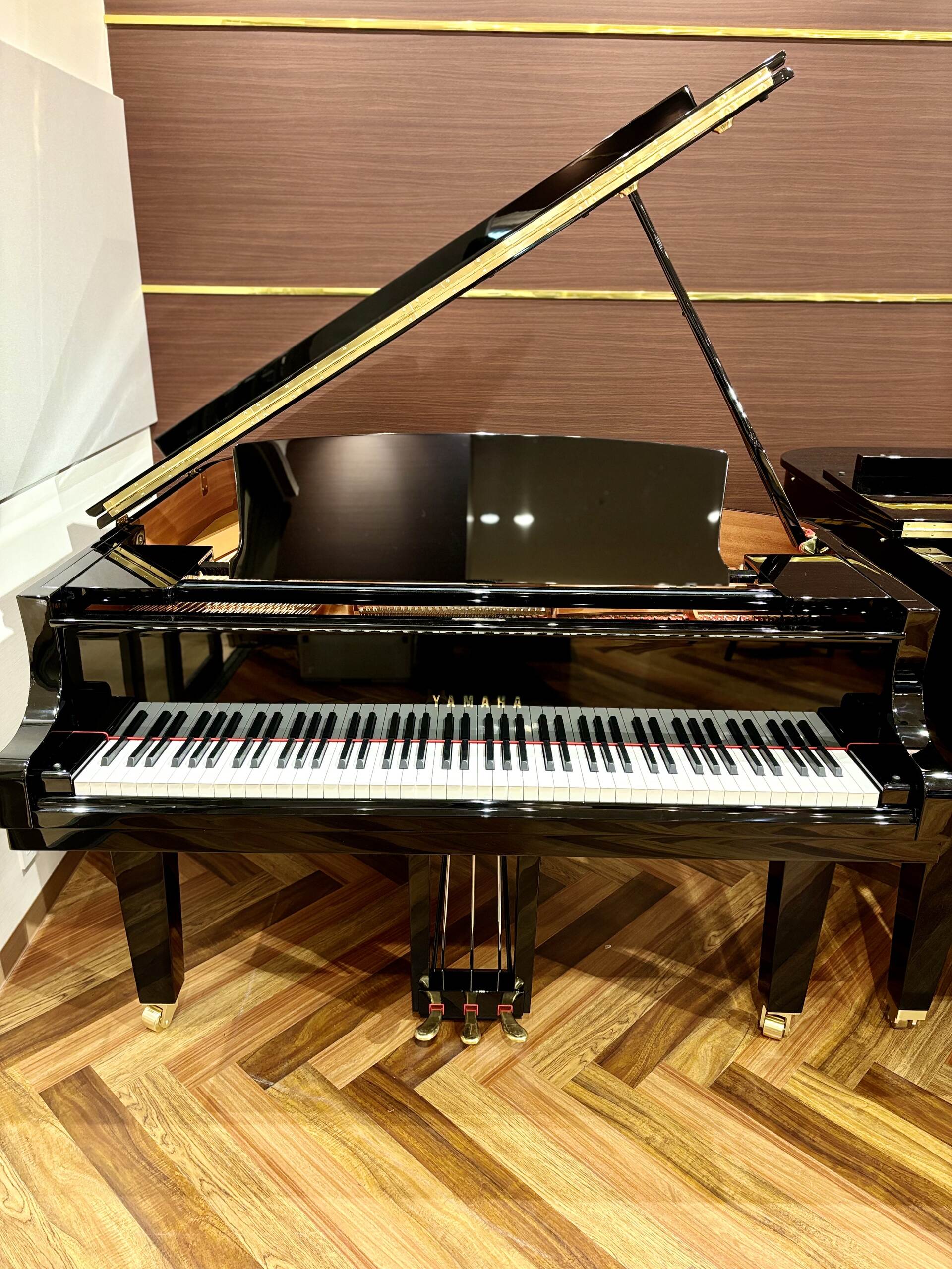YAMAHAC1X