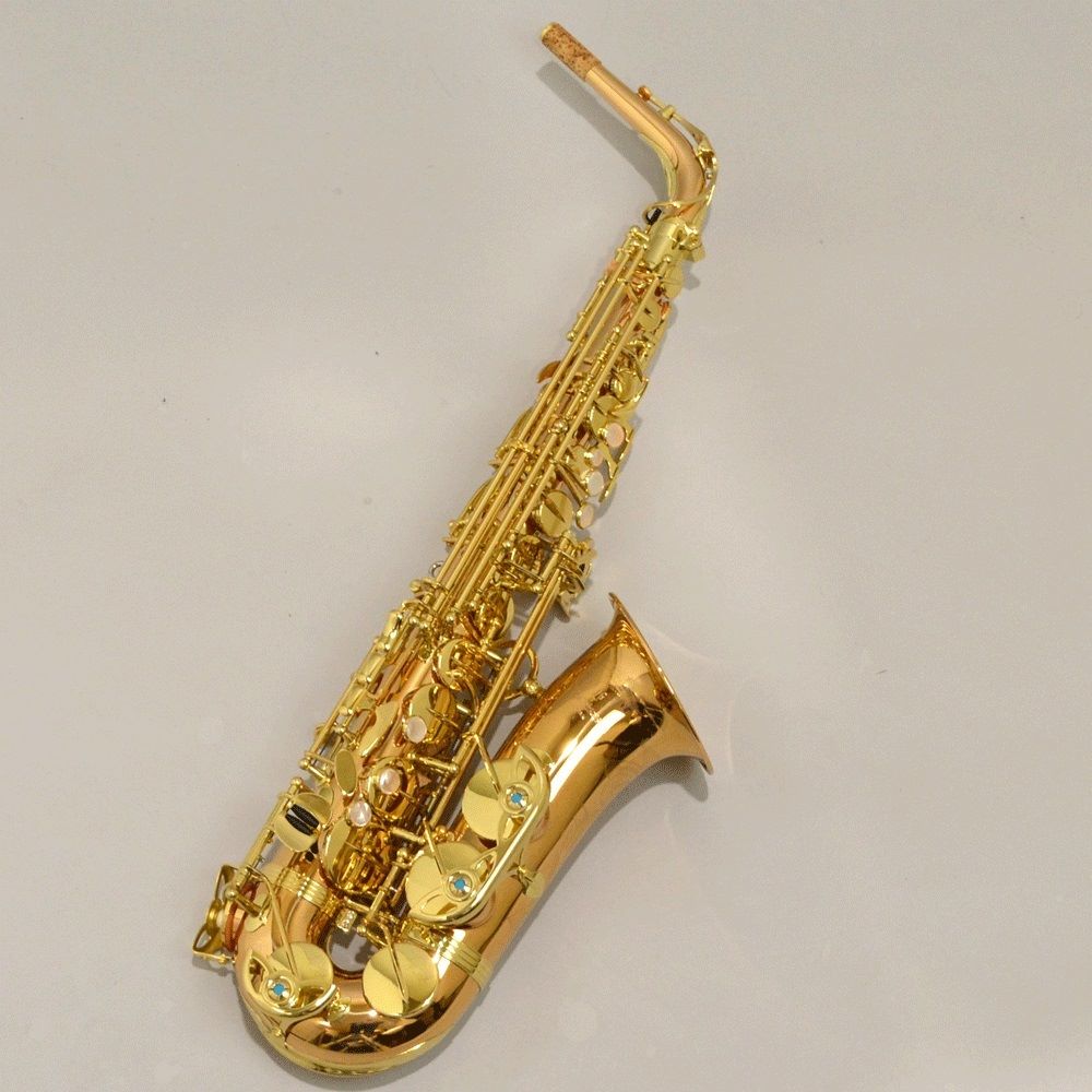 YANAGISAWAA-WO2