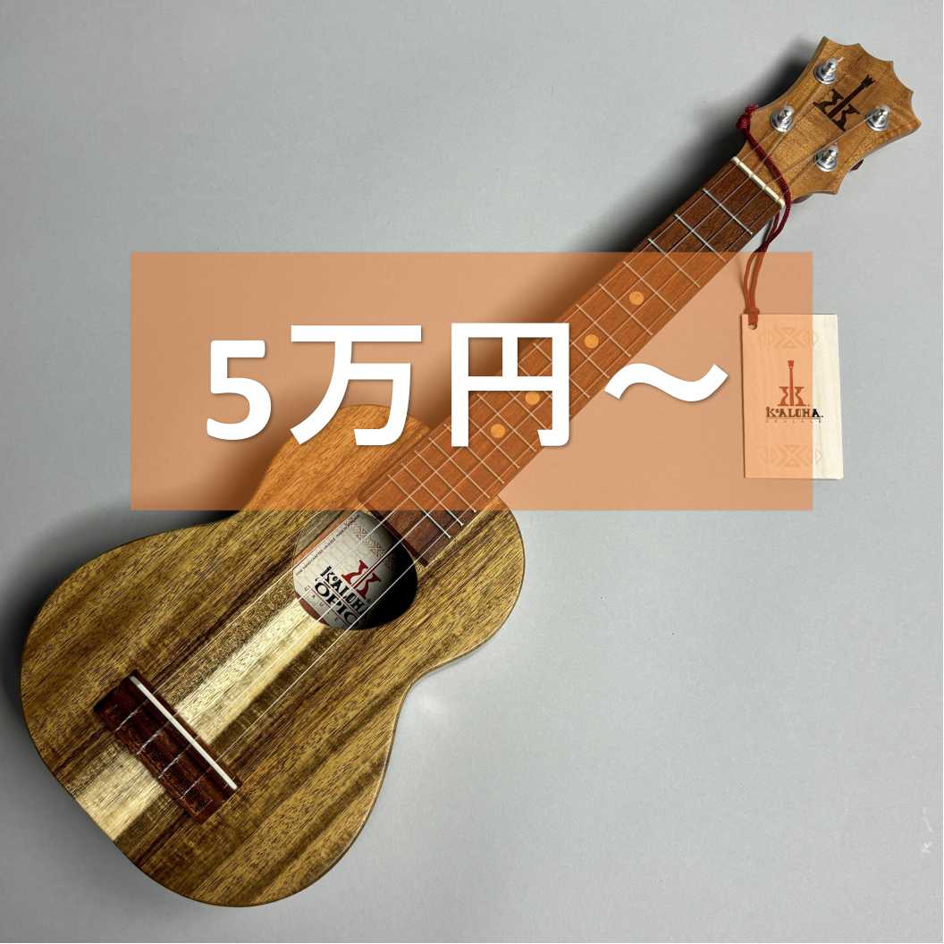 5万円以上のソプラノウクレレ
在庫情報はこちら▶