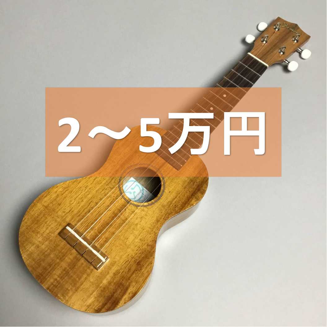 2～5万円のソプラノウクレレ
在庫情報はこちら▶