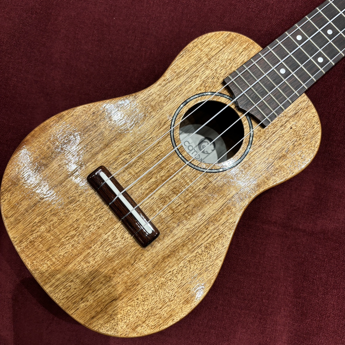 COTONE CS5SL NAT【現物写真】【ヘッドにキズありの為セール中】【48,000円→43,200円】