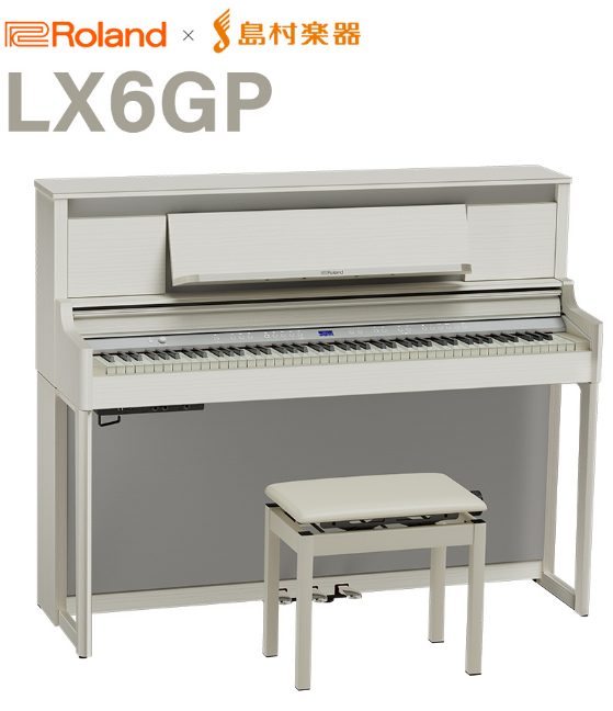 Roland：LX6GP
￥333,300(税込)