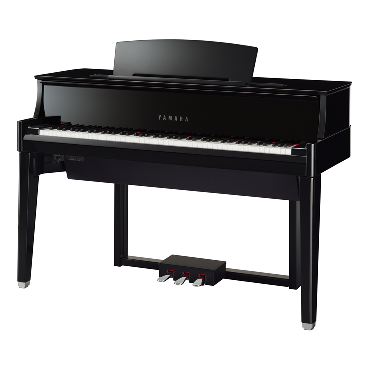 YAMAHA：N1X
￥715,000(税込)