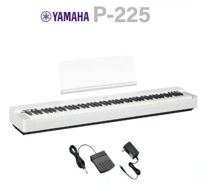 YAMAHA　P-225
￥58,200(税込)