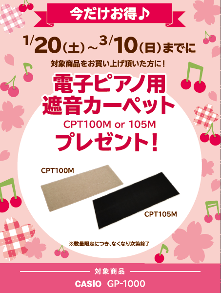 対象機種：GP-1000
①遮音カーペット