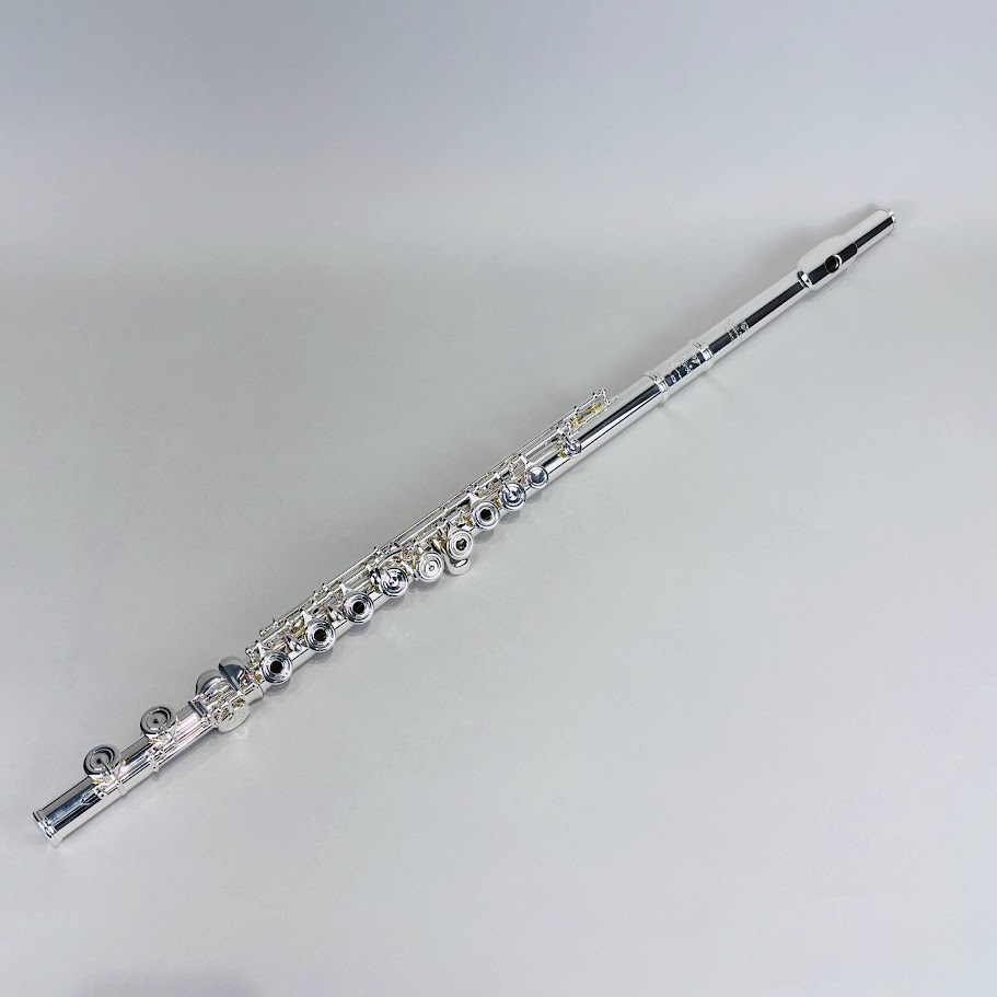 ＰｏｗｅｌｌPS55CEF_40608-2-0 