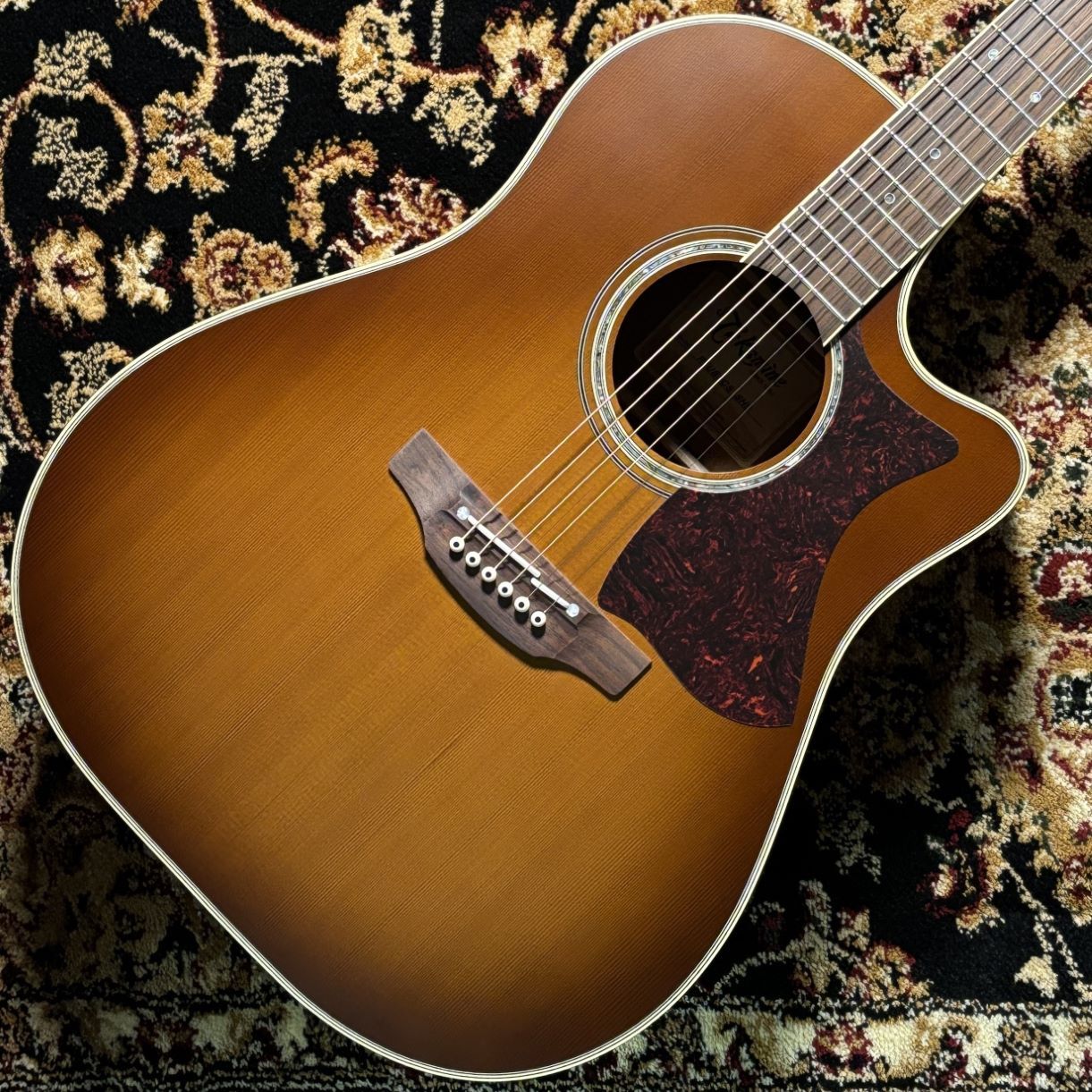 TakaminePTU80CS