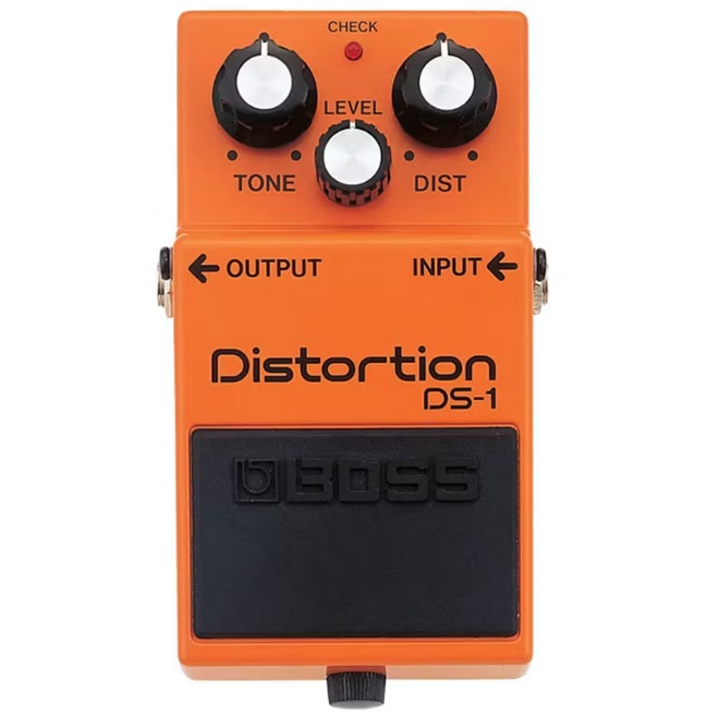 DS-1