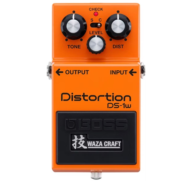 DS-1W