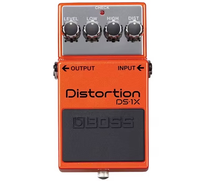 DS-1X
