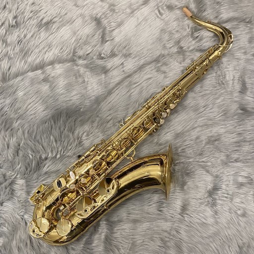 H.Selmer・テナーサックスAxos/GL