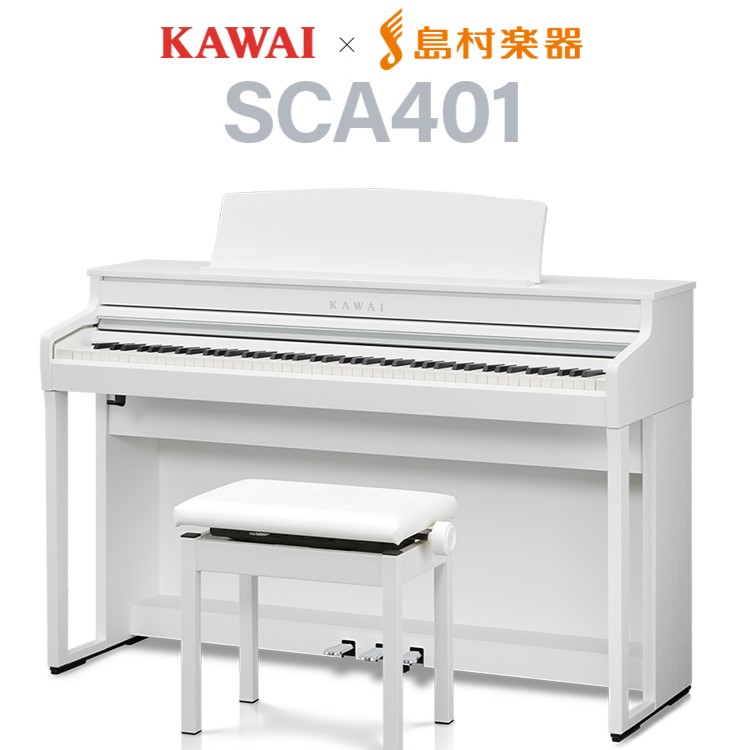 【SCA401】
¥209,000

★キャンペーンプレゼント★
KAWAIオリジナル お手入れセット