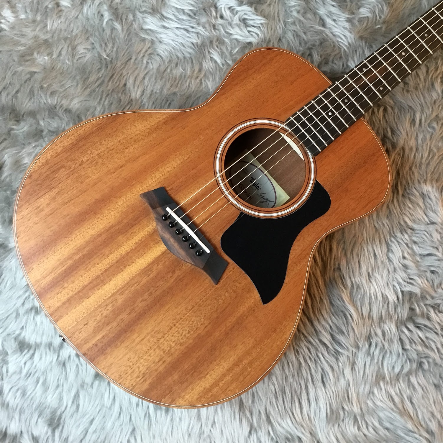 アコースティックギター】Taylorギター多数展示中！ ｜ ららぽーと堺店