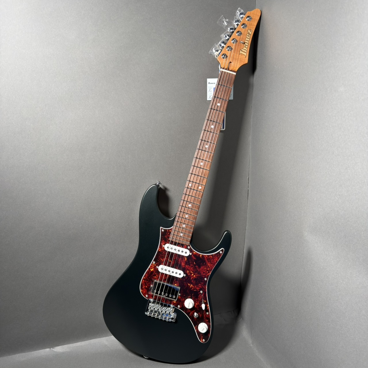 IbanezAZ2204N VGF