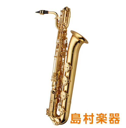 YANAGISAWAB-WO10