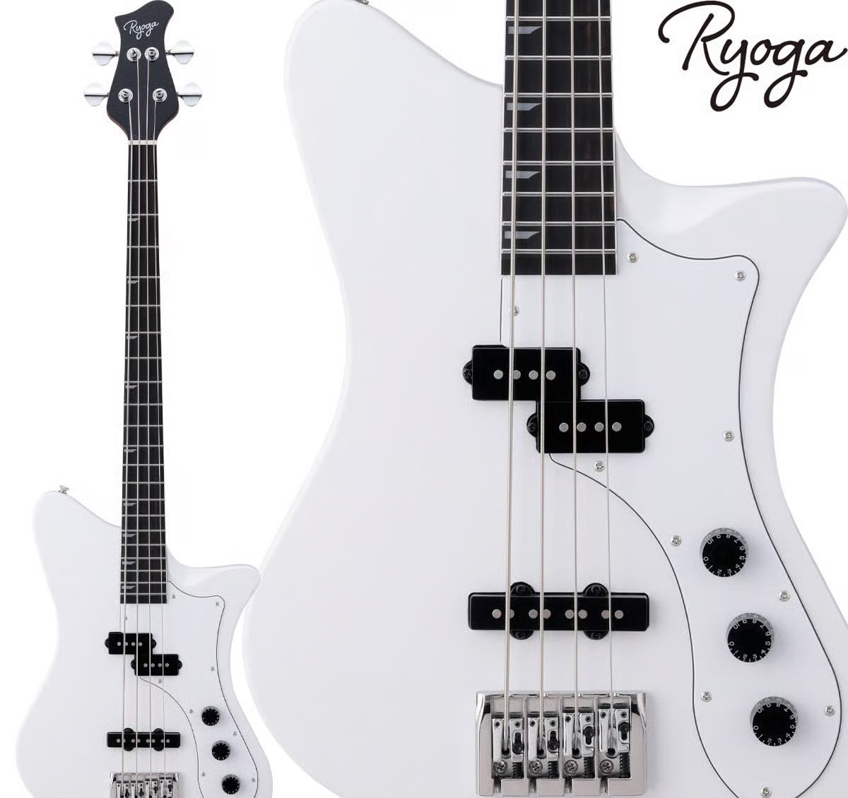 エレキベース
Ryoga SKATER-BASS
￥85,000(税込)

4,250ポイント贈呈