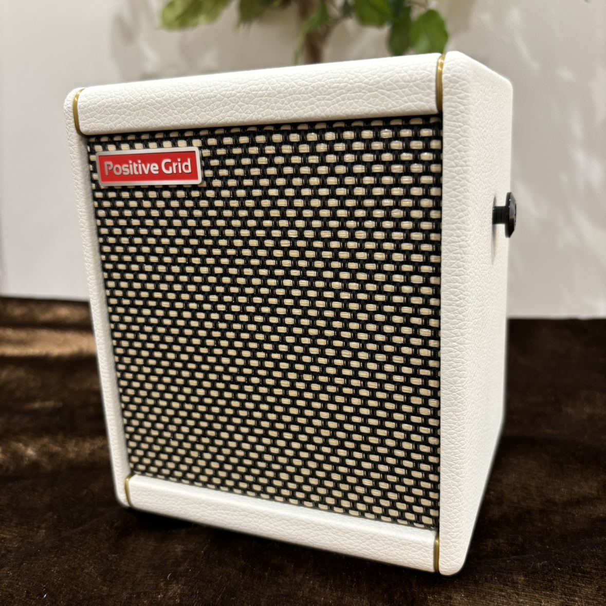 Positive GridSpark MINI