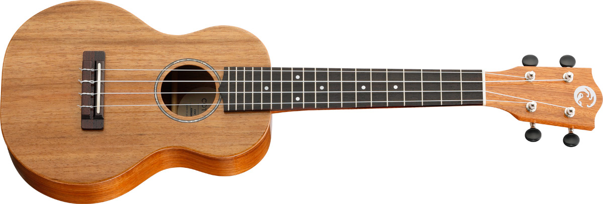 COTONECS5C
