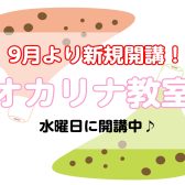 9月新規開講！【音楽教室講師紹介】貴島 有紀(水曜日)／オカリナ科
