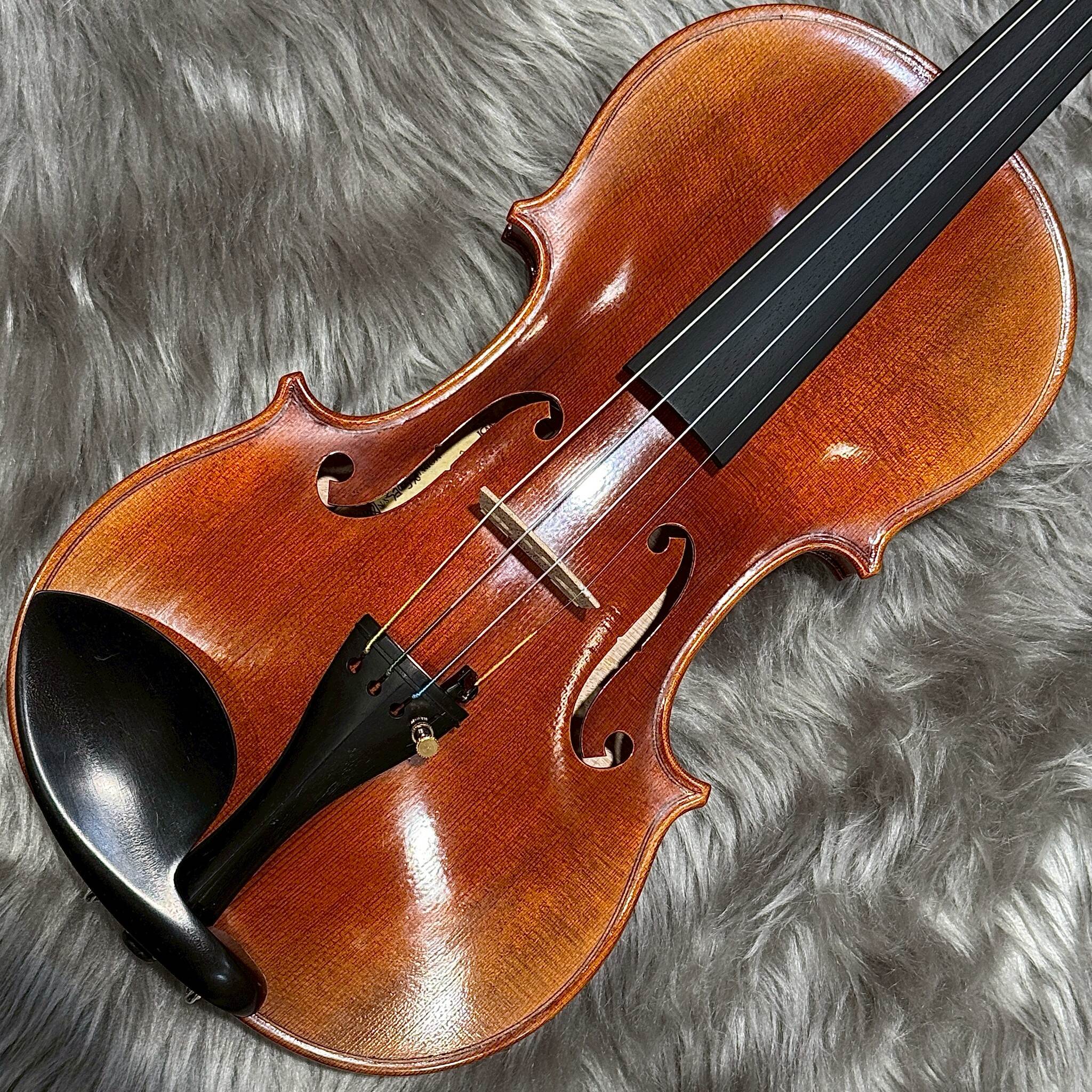 WILH.STEINBERGPS500/Brazilwood Bow