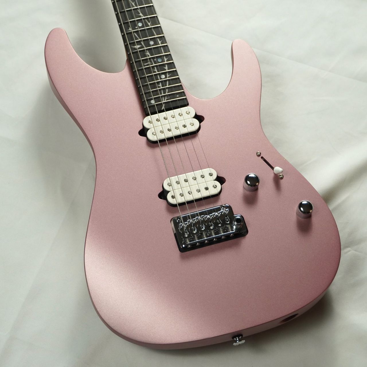 Ibanez TOD10-MM Metallic Mauve Tim Henson Signature
新品価格￥231,000
→Sold Out