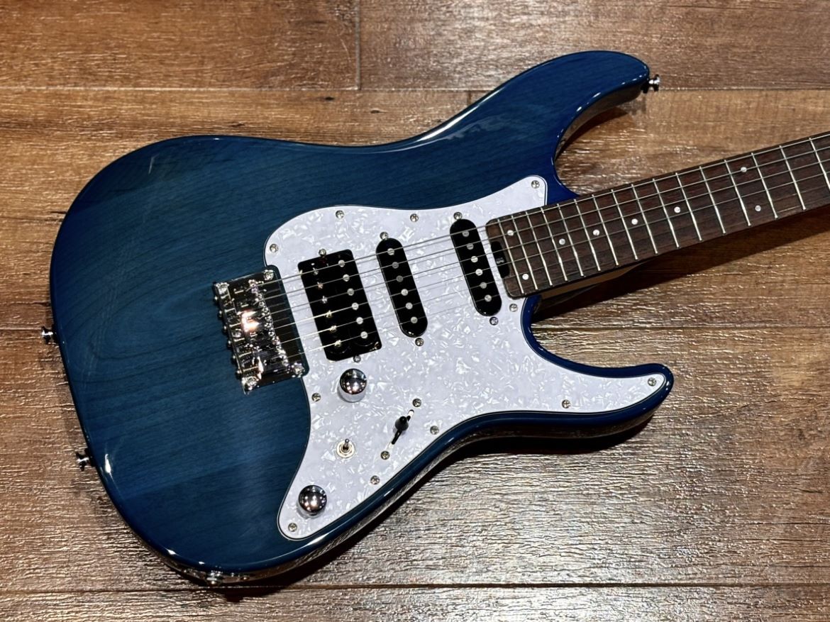 SCHECTER L-OL-DK-24-AL-RH/R /Indigo Light Blue
新品価格¥69,800
→Sold Out
