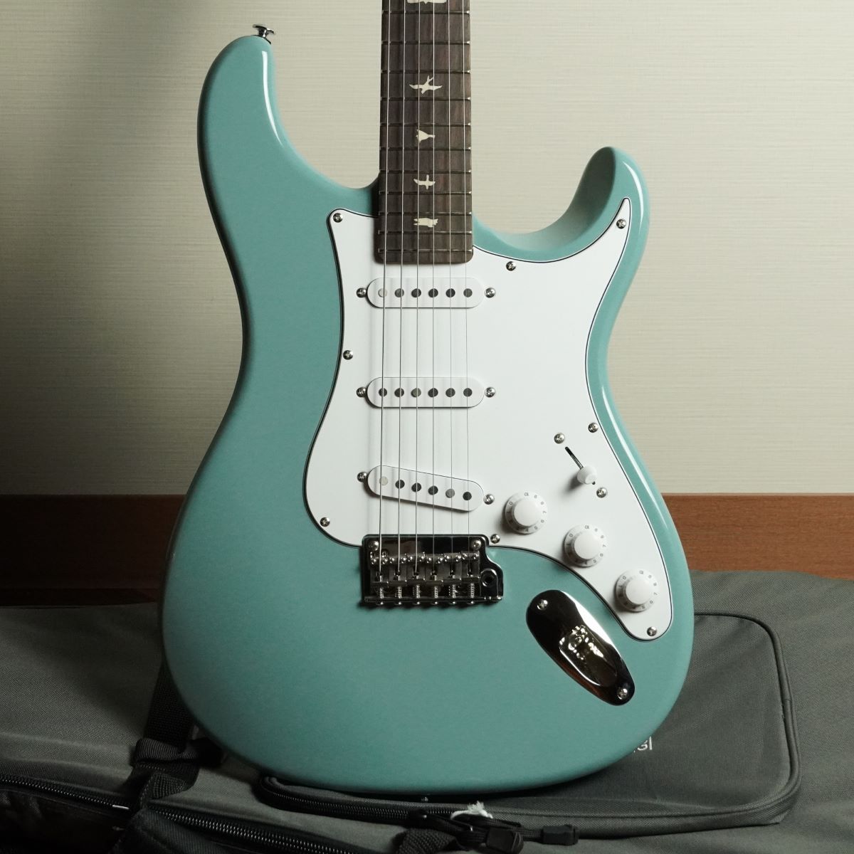 Paul Reed Smith(PRS) SE Silver Sky /Stone Blue
新品売価¥135,520(税込)
→