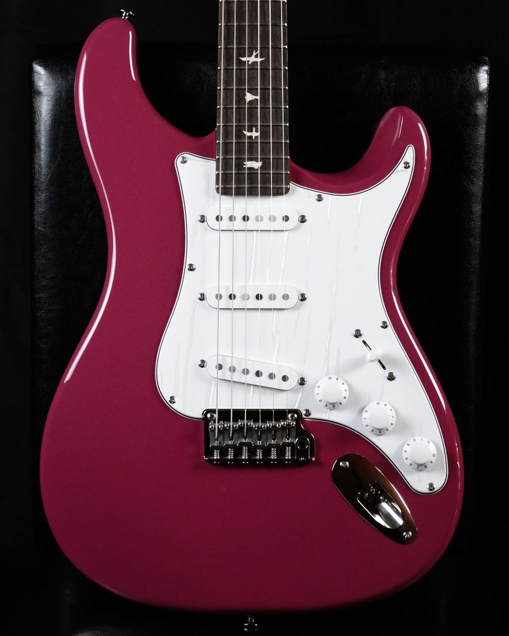 PRS SE Silver Sky /Dragon Fruit
→Sold Out