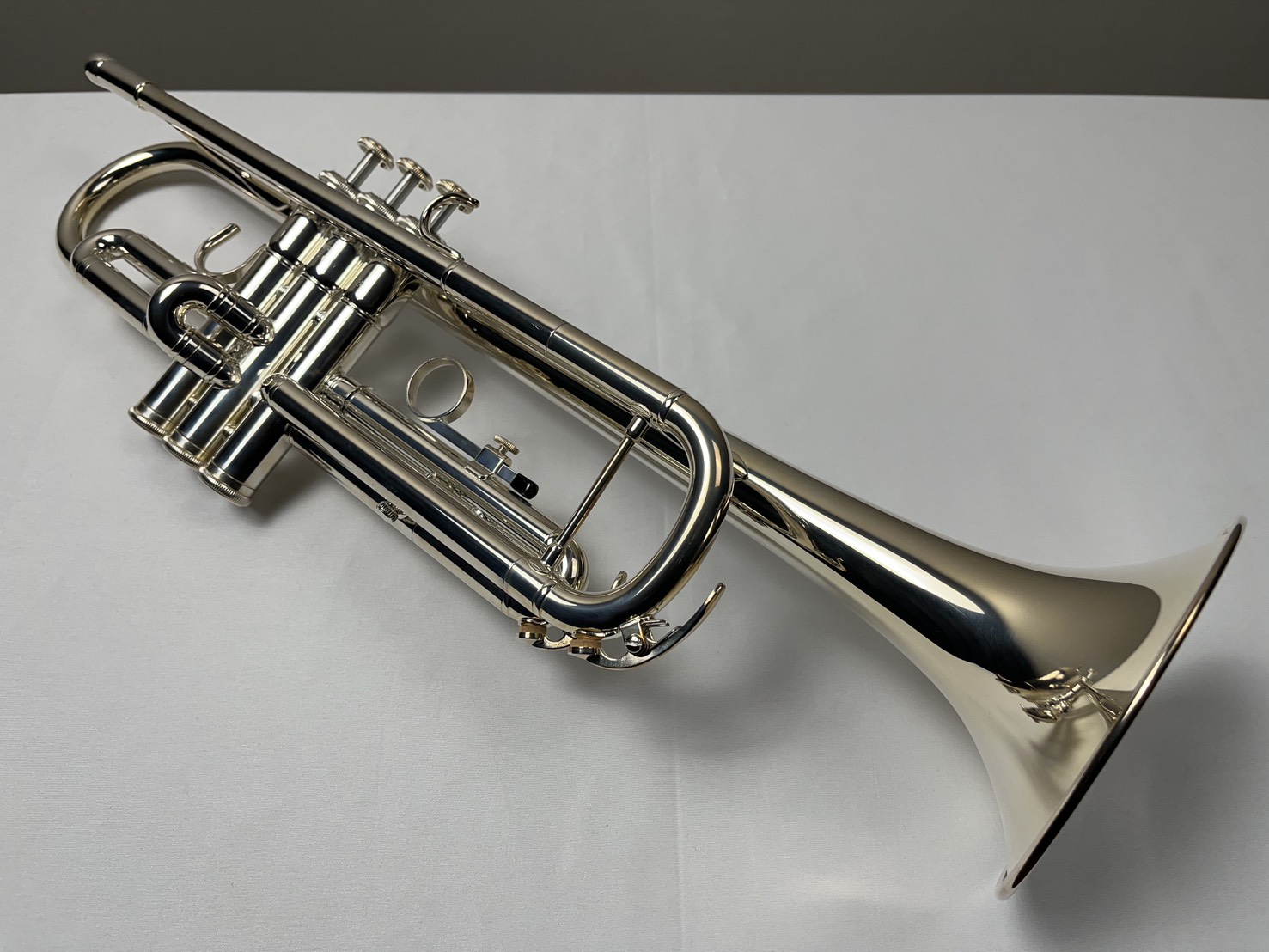 YAMAHA YTR-3335

￥123,750(税込)

↑商品詳細は画像をクリック↑