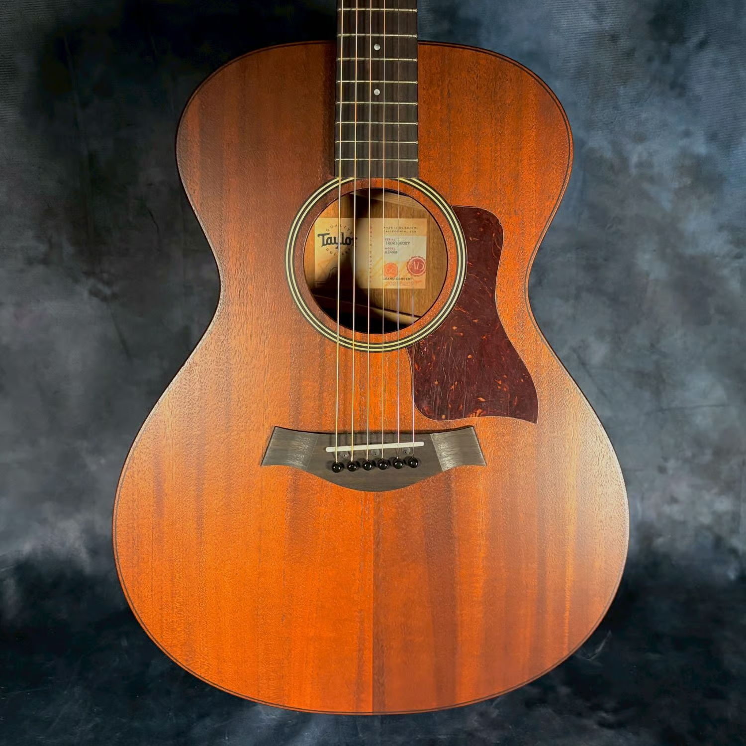 Taylor AD22e