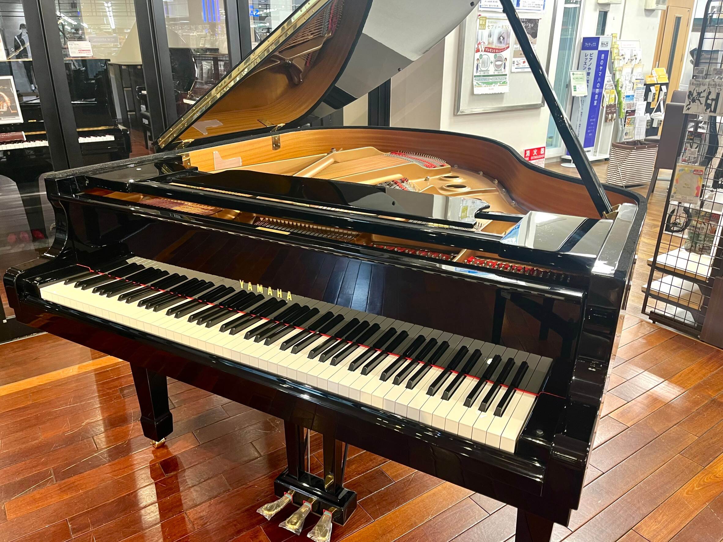 YAMAHA（ヤマハ）中古/C1SN