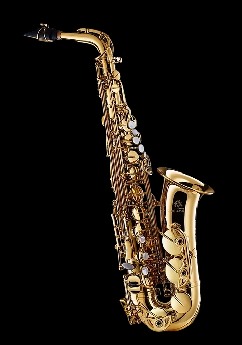 FORESTONEALTO SAXOPHONE GX GOLD LACQUERED