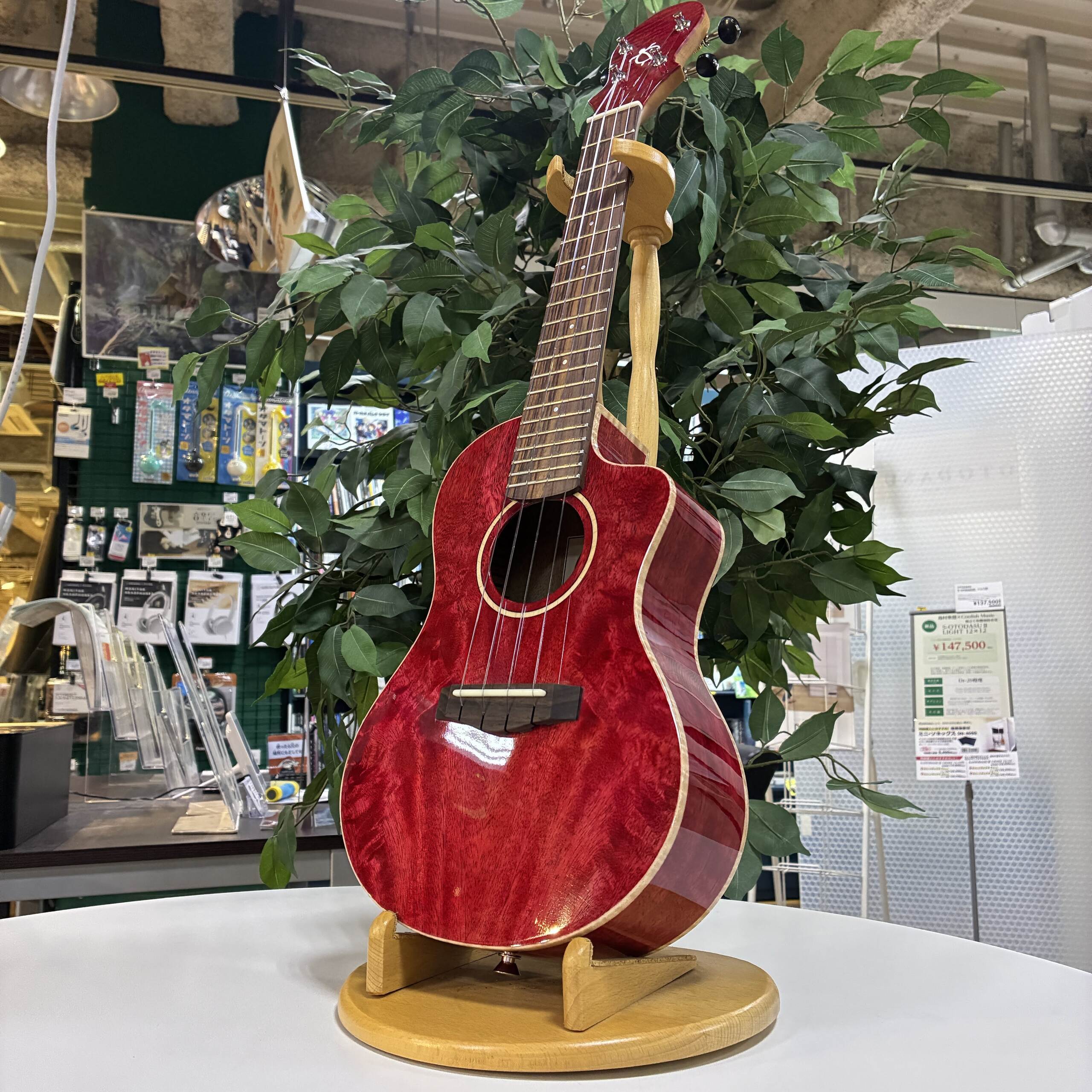 期間限定】マンゴー材を使用したBIG ISLANDウクレレ展示中！ ｜ 新潟
