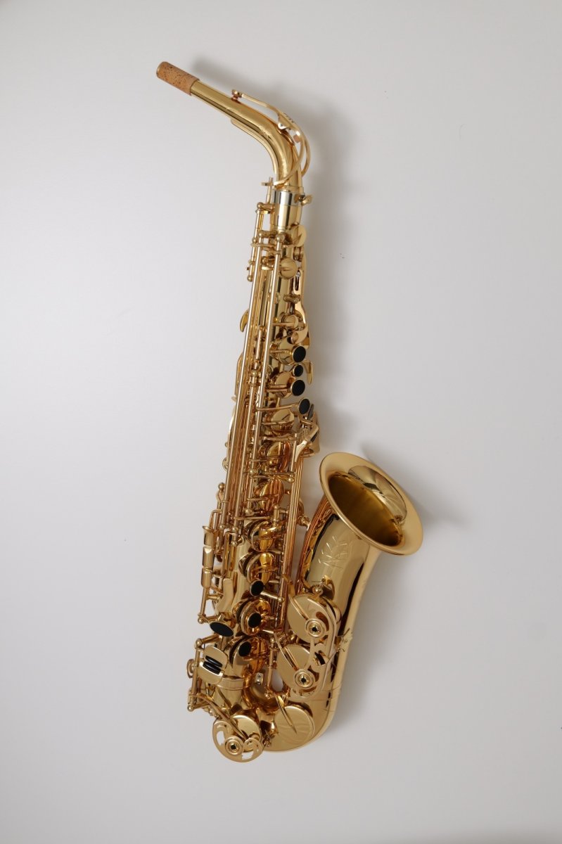 XYZAlto Pro