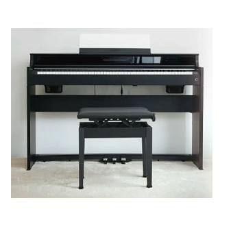 島村楽器限定モデル
CASIO　AP-S5000/S