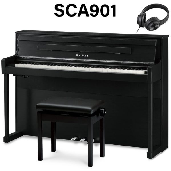島村楽器限定モデル
SCA901