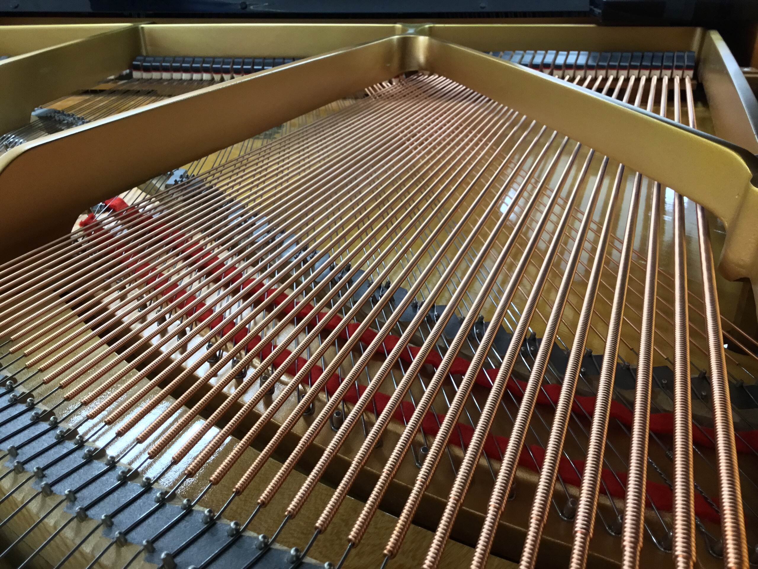 ～低音弦～新品のミュージックワイヤーならではの輝き