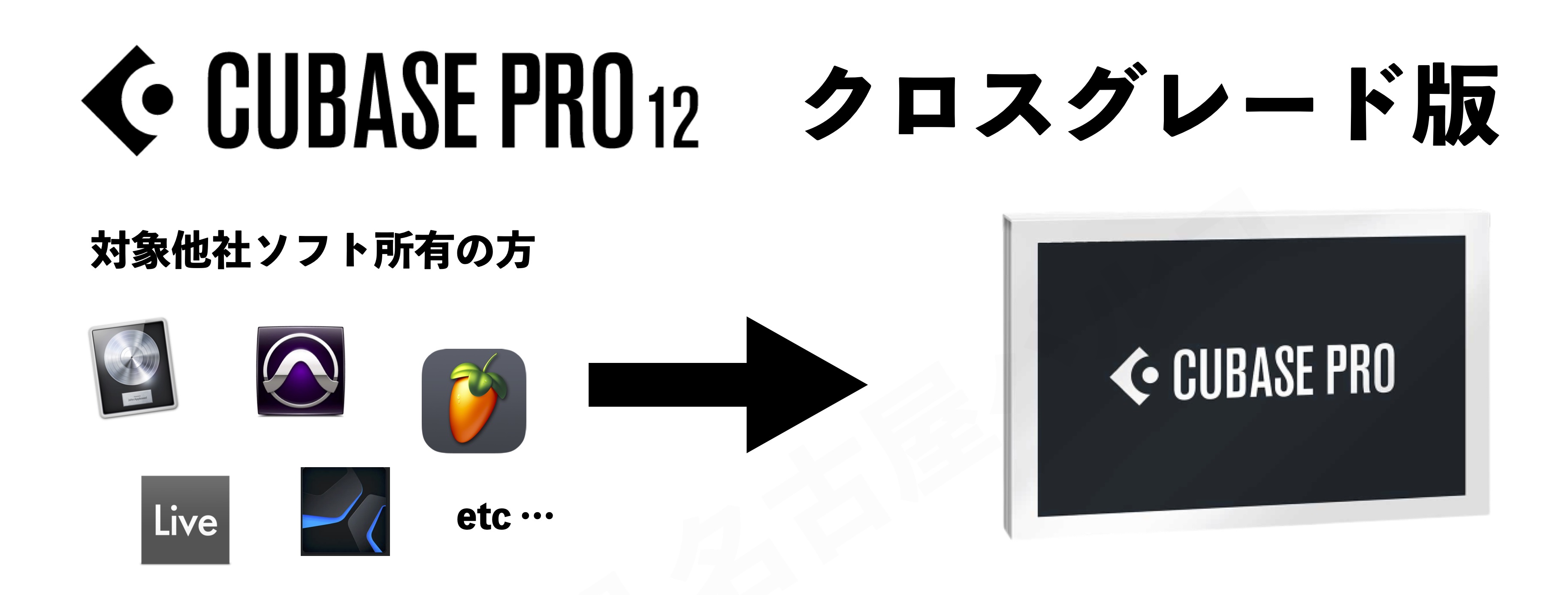 音楽制作ソフトウェアSteinberg CUBASE PRO 12 クロスグレード版【期間限定40%OFF】【代引き不可】