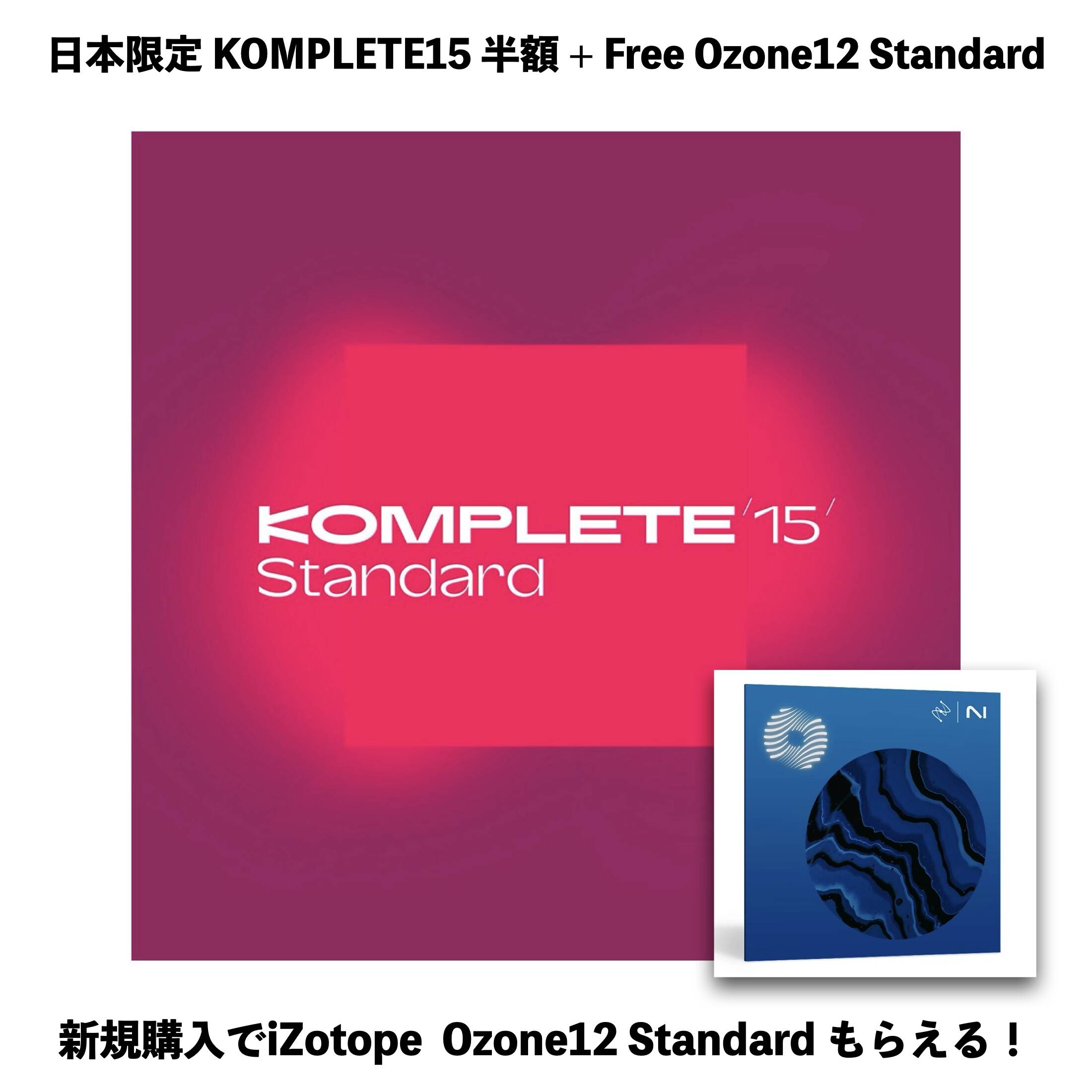 ソフトウェアプラグインNative Instruments KOMPLETE 15 Standard 超得パッケージ