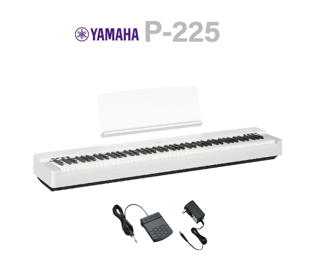 店頭展示中P-225（WH）