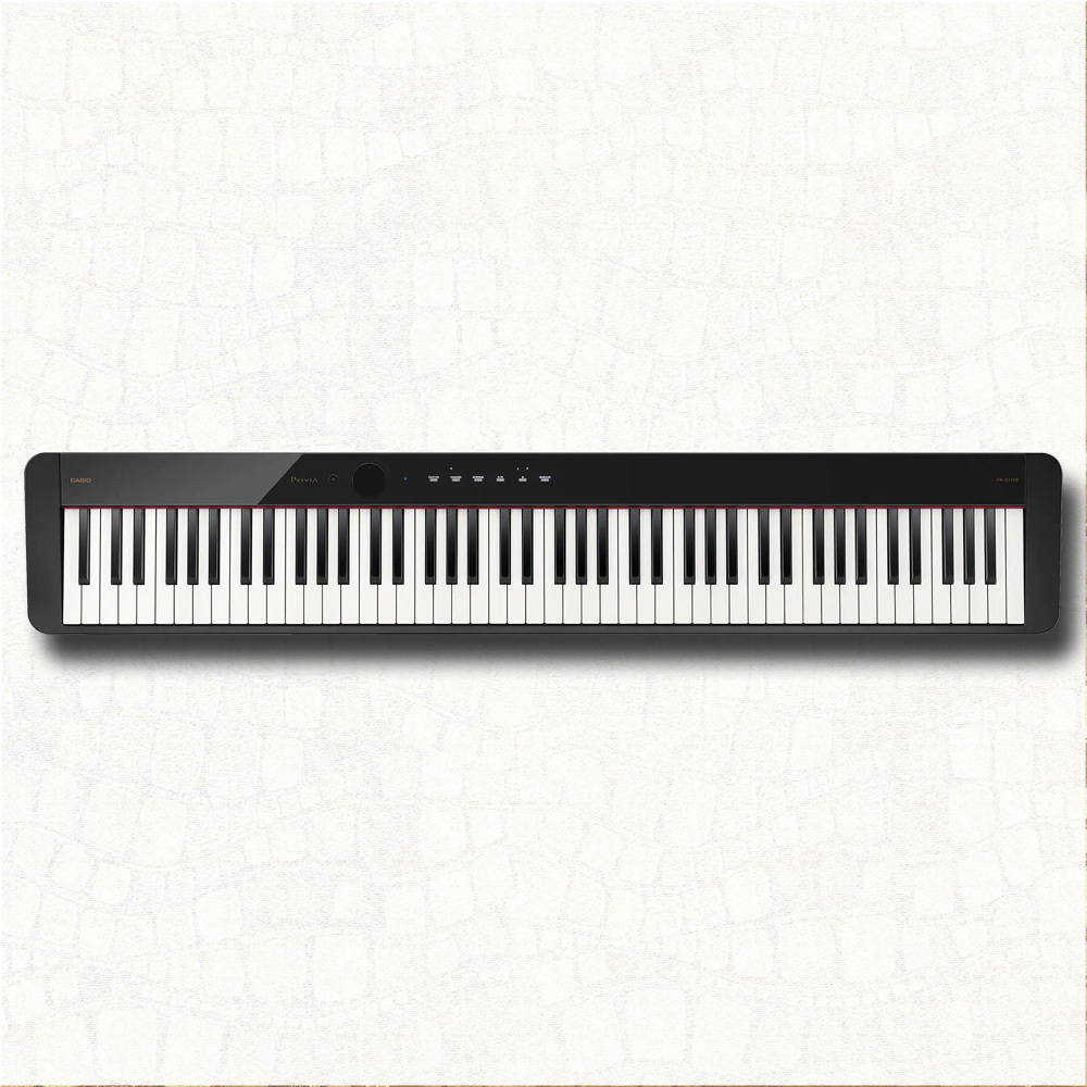 CASIOPX-S1100