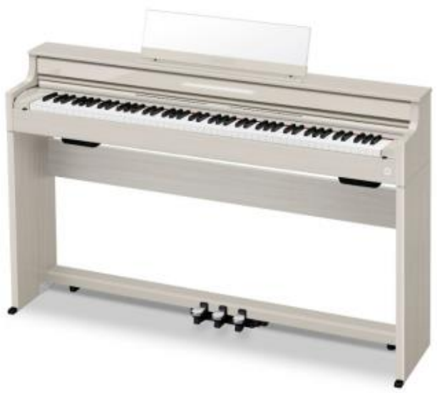 CASIOAP-S5000GP