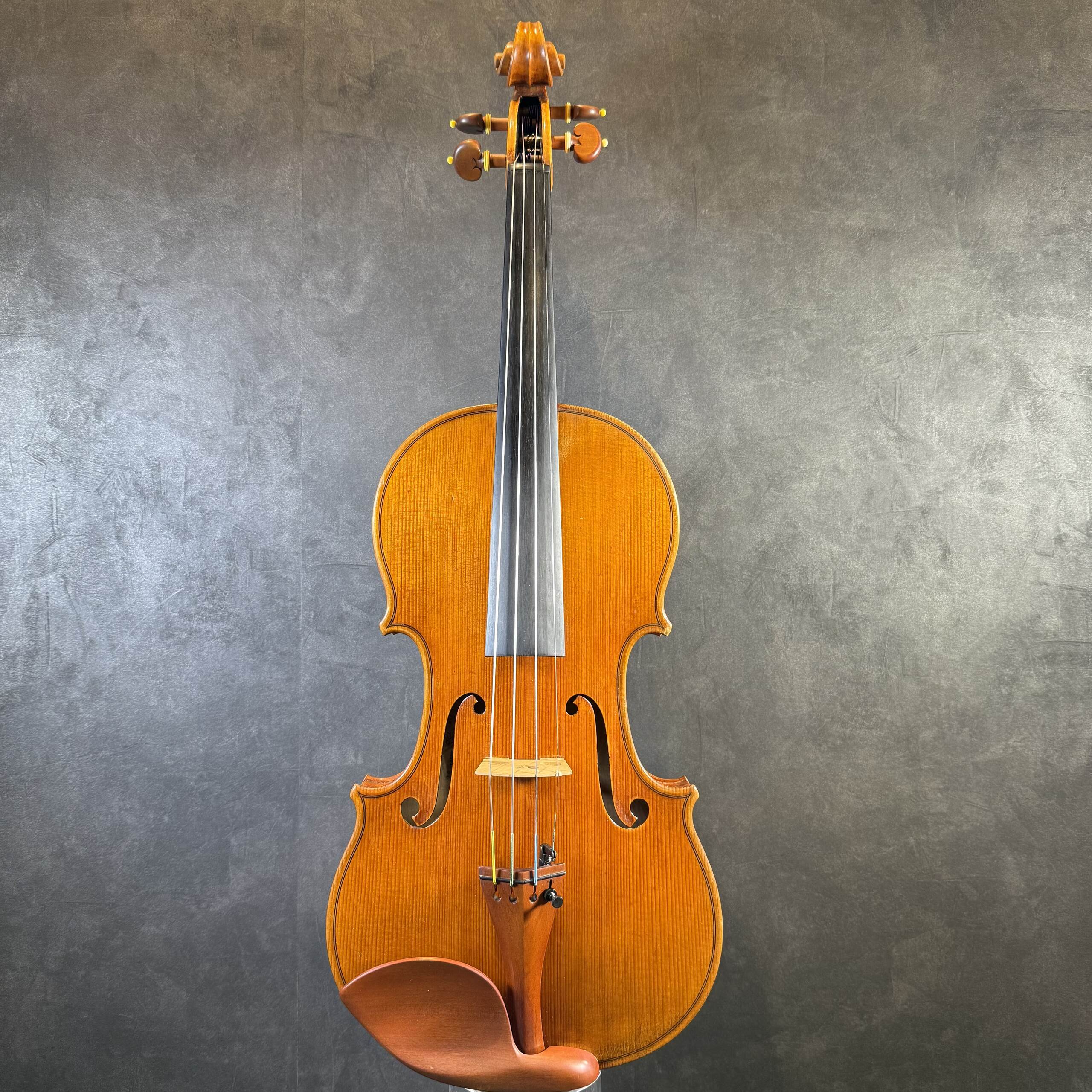 PygmaliusDX-120