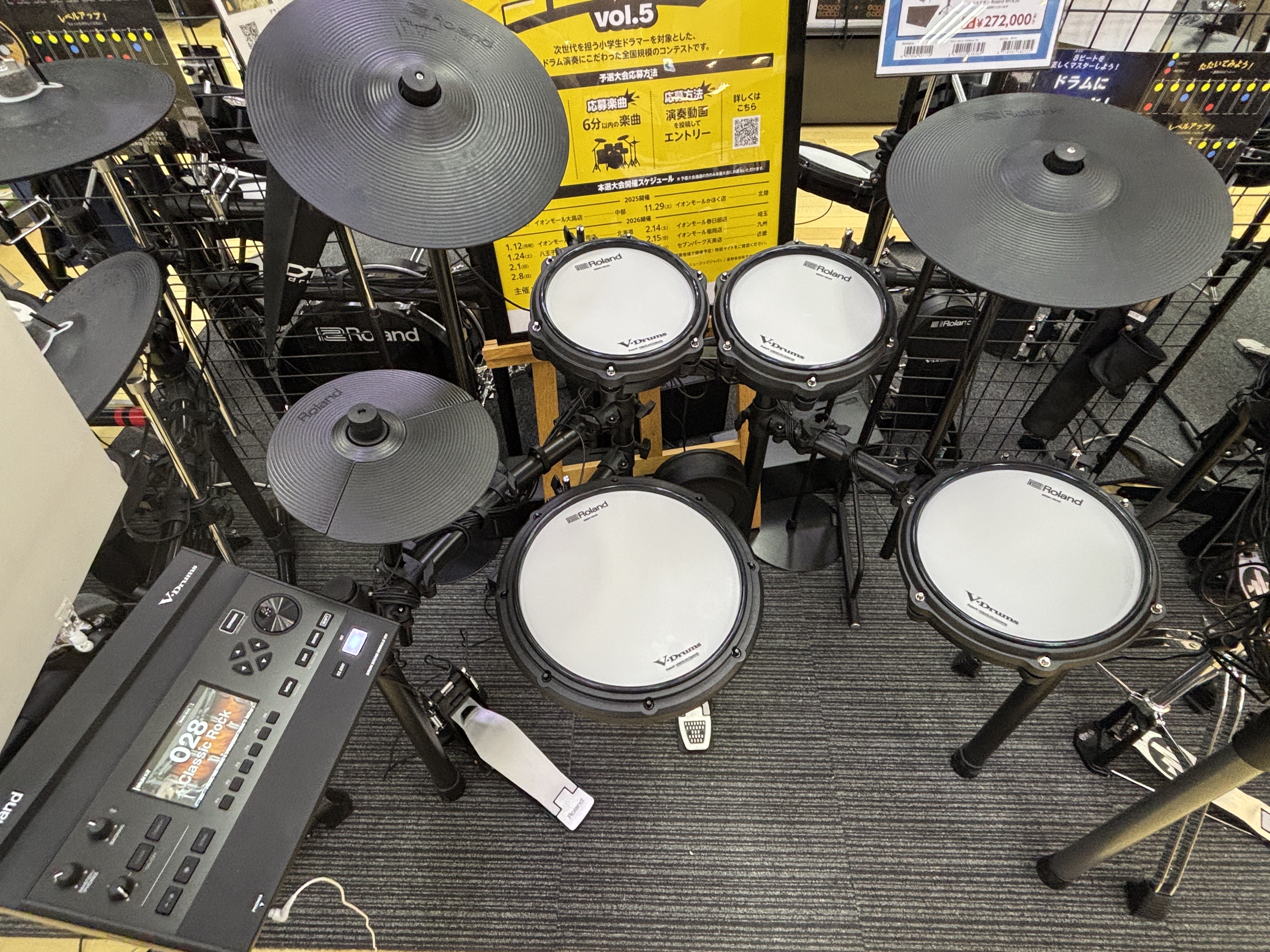 RolandTD313SC-S