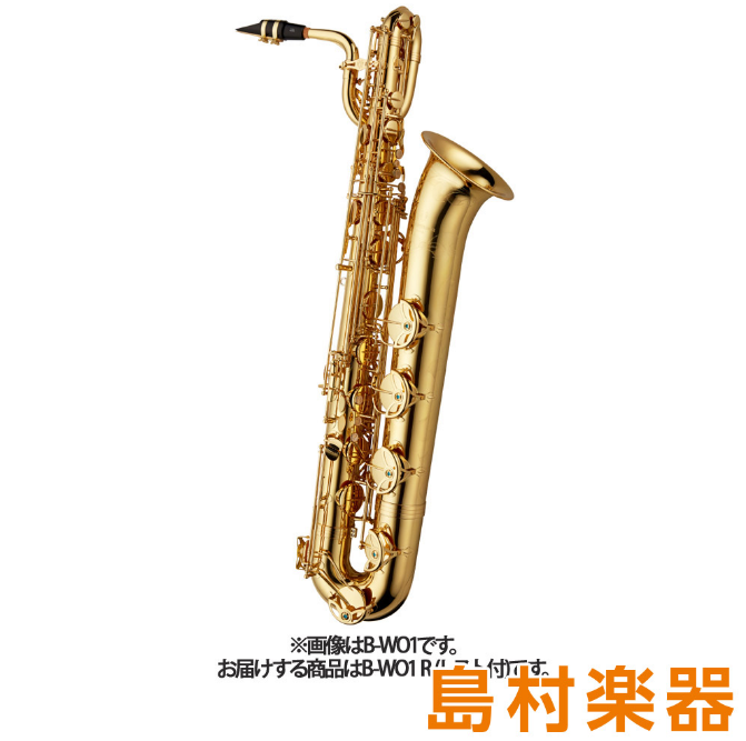 YANAGISAWAB-WO1R