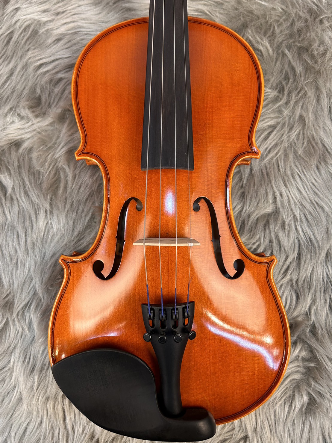 EastmanSVL80ｾｯﾄ 4/4
